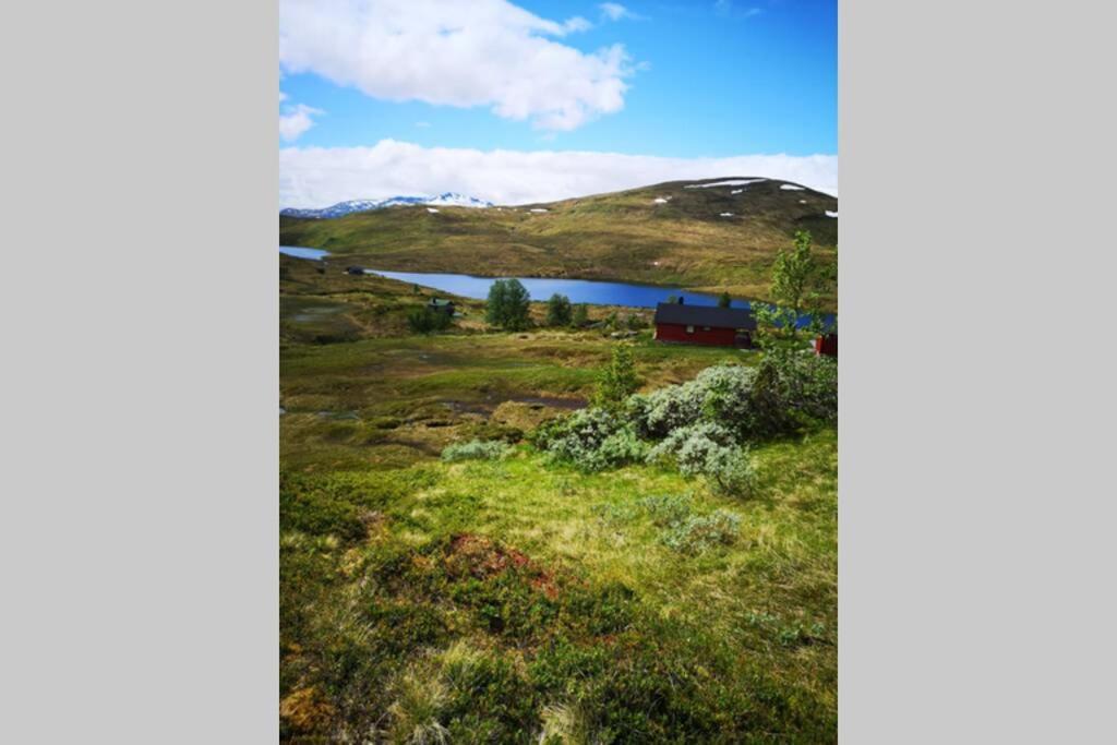 Casa Kleiv I Sogndalsdalenヴィラ エクステリア 写真